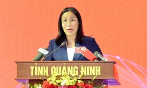 TP Đà Nẵng: Phát huy tốt vai trò, chức năng của HĐND trong điều kiện tổ chức mô hình chính quyền đô thị