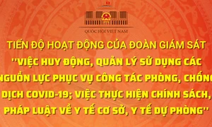 Kế hoạch giám sát việc huy động, quản lý, sử dụng các nguồn lực phục vụ công tác phòng chống dịch COVID-19