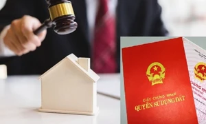 Nhập nhằng giá đất!