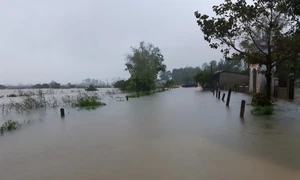 Công điện của Ban Chỉ đạo Quốc gia về Phòng, chống thiên tai về việc chủ động ứng phó với mưa lũ