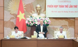 Ủy ban Đối ngoại họp phiên toàn thể lần thứ Sáu