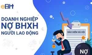 Nợ Bảo hiểm xã hội, hai doanh nghiệp tại Bà Rịa – Vũng Tàu bị phạt hơn 300 triệu đồng