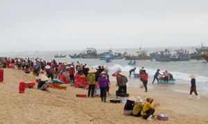 Quảng Bình: Đồng hành cùng ngư dân chống khai thác IUU