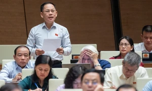 ĐBQH Trần Đình Gia (Hà Tĩnh): Bổ sung trách nhiệm bảo vệ nguồn nước theo pháp luật chuyên ngành