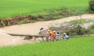 Điện lực Phú Thọ nỗ lực khắc phục thiệt hại sau mưa lũ