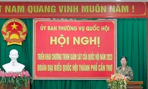 Tiếp tục đổi mới phương pháp, cách thức tham gia giám sát với Quốc hội