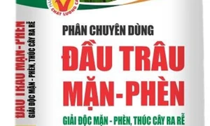 Áp dụng quy trình canh tác, bón phân hiệu quả cho mô hình lúa - tôm