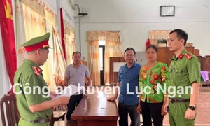 Phá rừng hàng loạt tại Bắc Giang: 4 đối tượng bị khởi tố, cán bộ bị đề nghị khiển trách