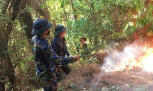 Quảng Bình: Cháy rừng bùng phát trở lại, hàng trăm người ứng trực chữa cháy