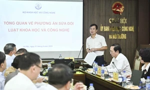Chấp nhận rủi ro và độ trễ trong nghiên cứu khoa học và phát triển công nghệ