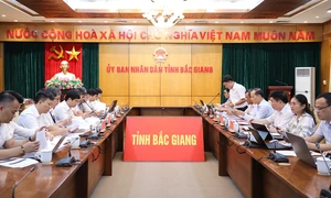 Bắc Giang: Giới thiệu, trải nghiệm giáo dục STEM, trí tuệ nhân tạo AI tại một số cơ sở giáo dục trên địa bàn