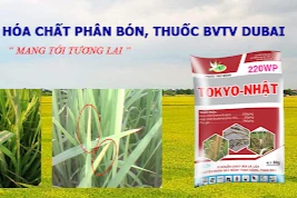 Long An: Xử phạt, đình chỉ hoạt động hàng loạt doanh nghiệp sản xuất hóa chất