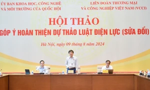 Phòng ngừa, hạn chế rủi ro trước biến động liên tục của giá điện