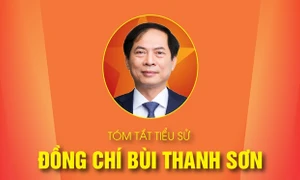 TÓM TẮT TIỂU SỬ ĐỒNG CHÍ BÙI THANH SƠN - PHÓ THỦ TƯỚNG CHÍNH PHỦ NHIỆM KỲ 2021-2026