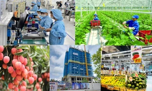 Bắc Giang: Tập trung triển khai, thực hiện các nhiệm vụ kinh tế - xã hội năm 2024