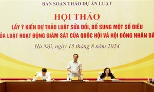 Chỉ nên khái quát cơ bản, không cá biệt hóa vấn đề thực tiễn vào luật