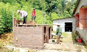 Hỗ trợ người dân vùng đệm tham gia quản lý bảo vệ rừng