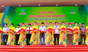 Khai mạc Tuần hàng tư vấn, giới thiệu và xúc tiến tiêu thụ sản phẩm OCOP, làng nghề, nông sản