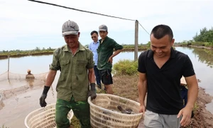 Nam Định: Giải phóng mặt bằng khu vực Cồn Xanh đạt hiệu quả