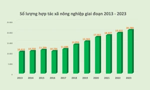 Thực trạng hợp tác xã nông nghiệp tại Việt Nam