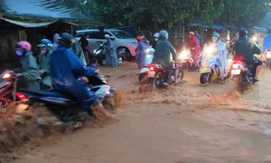 Lo ngại mưa lớn gây ngập lụt, Đà Nẵng cho học sinh nghỉ học