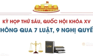 Kỳ họp thứ Sáu, Quốc hội thông qua 7 Luật và 9 Nghị quyết