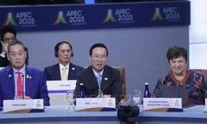 Khẳng định vị thế Việt Nam trong APEC