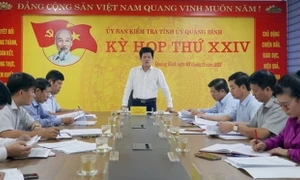 Thi hành kỷ luật Phó Giám đốc phụ trách Ban Quản lý rừng phòng hộ Đồng Hới và ven biển Quảng Bình