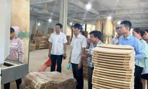 Giải pháp trọng tâm chuyển dịch cơ cấu kinh tế