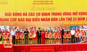 Giải đấu ý nghĩa, chuyên nghiệp