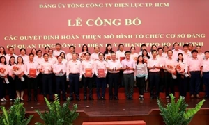 Hoàn thiện mô hình tổ chức cơ sở đảng Cơ quan Tổng công ty Điện lực TP. Hồ Chí Minh