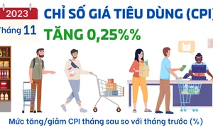 Tháng 11.2023: Chỉ số giá tiêu dùng (CPI) tăng 0,25%