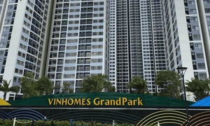 Vinhones “bơm” thêm 3.600 tỷ đồng cho một công ty bất động sản mới thành lập