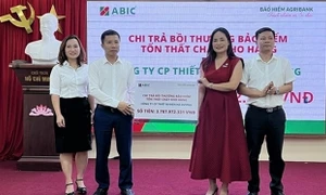 Bảo hiểm Agribank Thanh Hóa: Hành động nhanh, ứng phó kịp thời