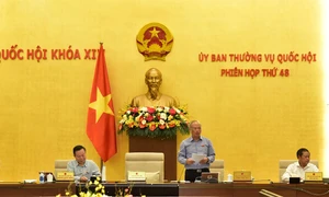 Cho ý kiến về công tác phòng, chống tội phạm và vi phạm pháp luật năm 2020