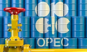 OPEC+ không tăng sản lượng bất chấp áp lực đối với giá dầu