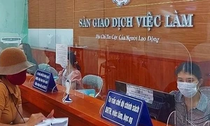 Đẩy mạnh công tác tư vấn, hỗ trợ giải quyết chế độ thất nghiệp cho người lao động