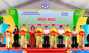 Hà Nội khai mạc Tuần hàng tư vấn, giới thiệu và xúc tiến tiêu thụ sản phẩm OCOP