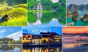 Không tăng giá tour, lượng đặt phòng đang nóng dần