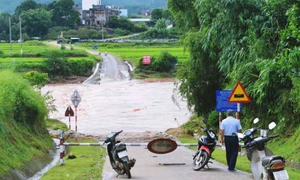 Bình Liêu chủ động ứng phó với thiên tai, bão lũ