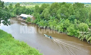 Kiên Giang: 15 xã, thị trấn được công nhận là xã An toàn khu