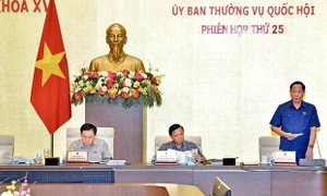 Giải trình kỹ hơn về phạm vi điều chỉnh