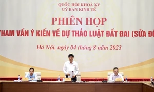 Thường trực Ủy ban Kinh tế tham vấn ý kiến về dự thảo Luật Đất đai (sửa đổi)