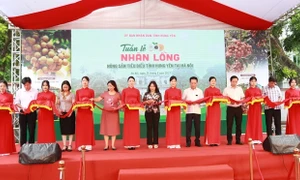 Tuần lễ nhãn lồng - Nông sản tiêu biểu tỉnh Hưng Yên năm 2023 tại Hà Nội