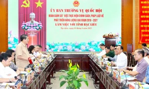 Phó Chủ tịch Quốc hội Nguyễn Đức Hải khảo sát một số nhà máy điện gió tại Bạc Liêu