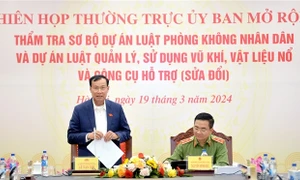 Thẩm tra sơ bộ dự án Luật Quản lý, sử dụng vũ khí, vật liệu nổ và công cụ hỗ trợ (sửa đổi)