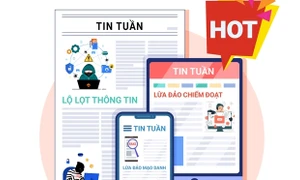 Các tin tức nổi bật về lừa đảo trực tuyến trong tuần qua