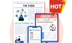 Nhìn lại các tin tức nổi bật về lừa đảo trực tuyến trong tuần qua