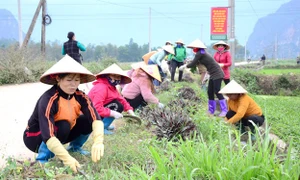 Hội Nông dân tỉnh Nam Định: Tích cực xây dựng nông thôn mới nâng cao, đô thị văn minh