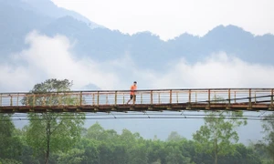 Trải nghiệm cung đường chạy giữa lòng di sản Phong Nha - Kẻ Bàng